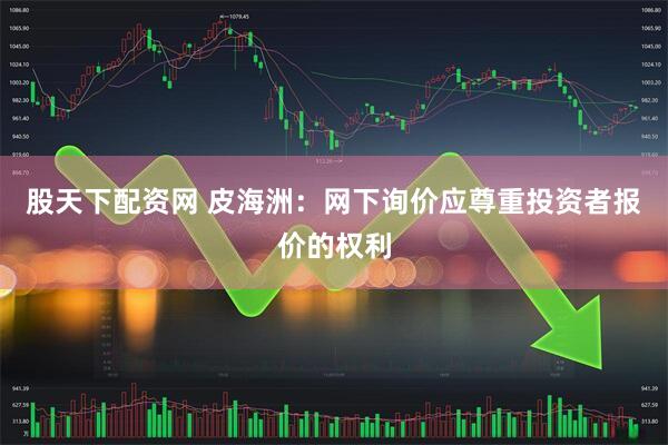 股天下配资网 皮海洲：网下询价应尊重投资者报价的权利